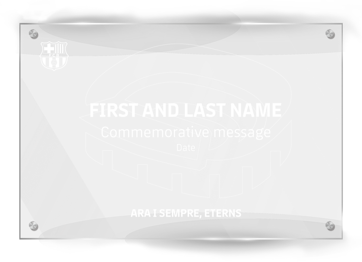Commemorative plaque, 10 years (Stadium design)