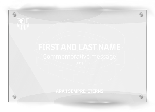 Commemorative plaque, 10 years (Stadium design)